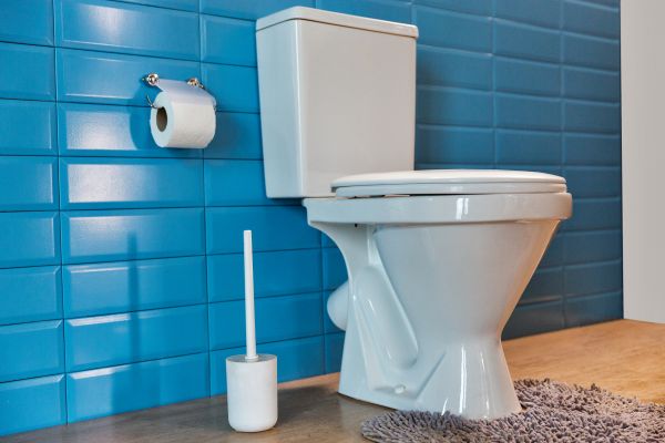 Cost of Toilet Tank Repair in Elgin