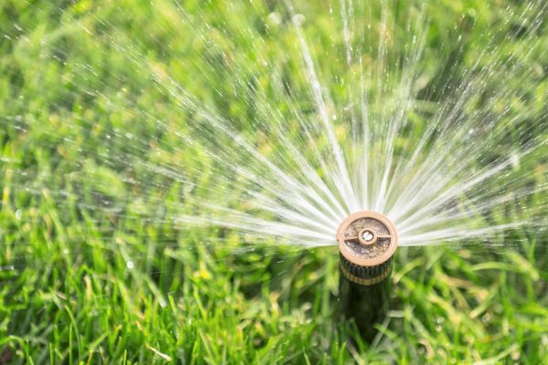 Cost of Spigot Installation in Elgin